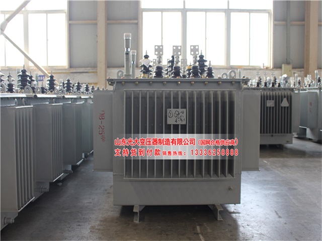 江西S22-4000KVA油浸式变压器